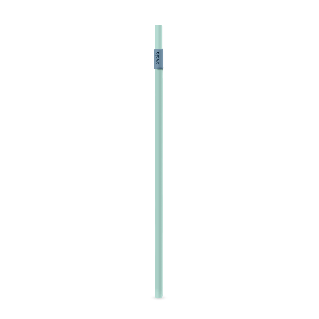 Replacement Straws ZJB9