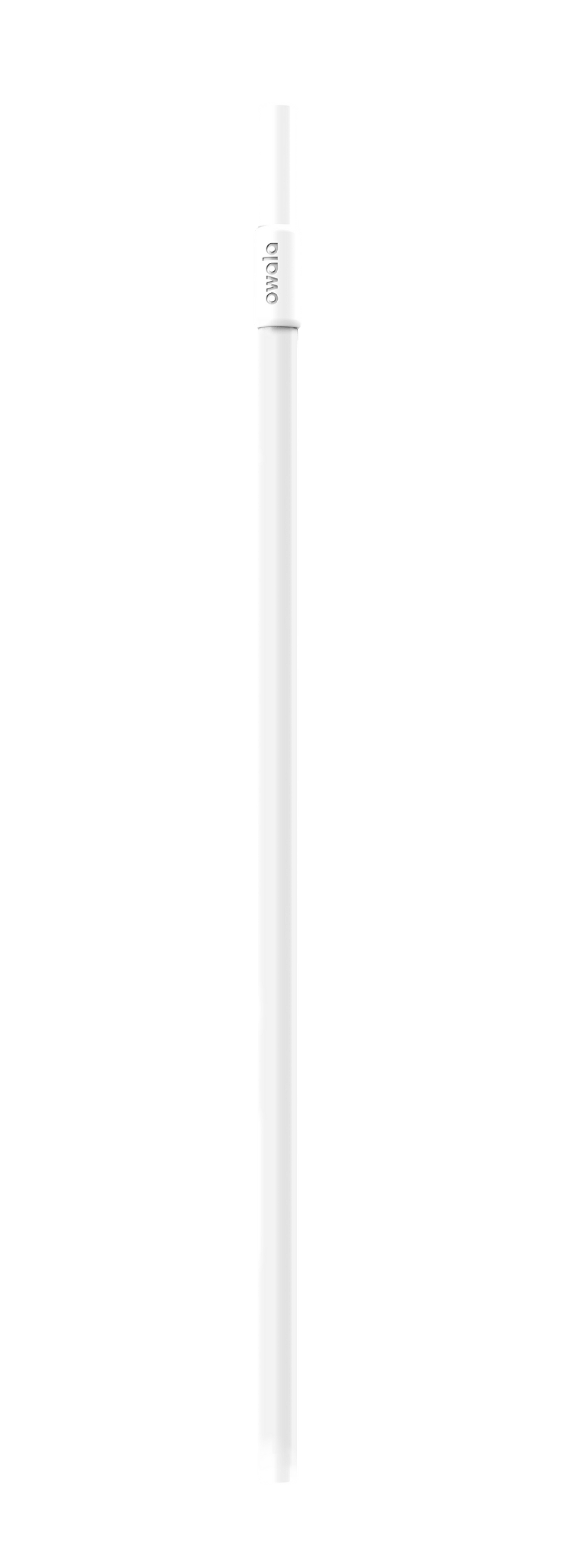 Replacement Straws ZJB9
