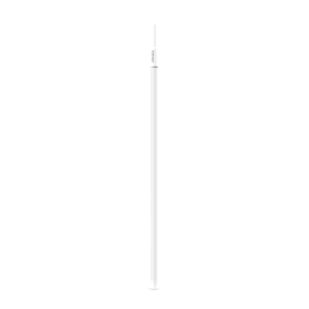 Replacement Straws ZJB9