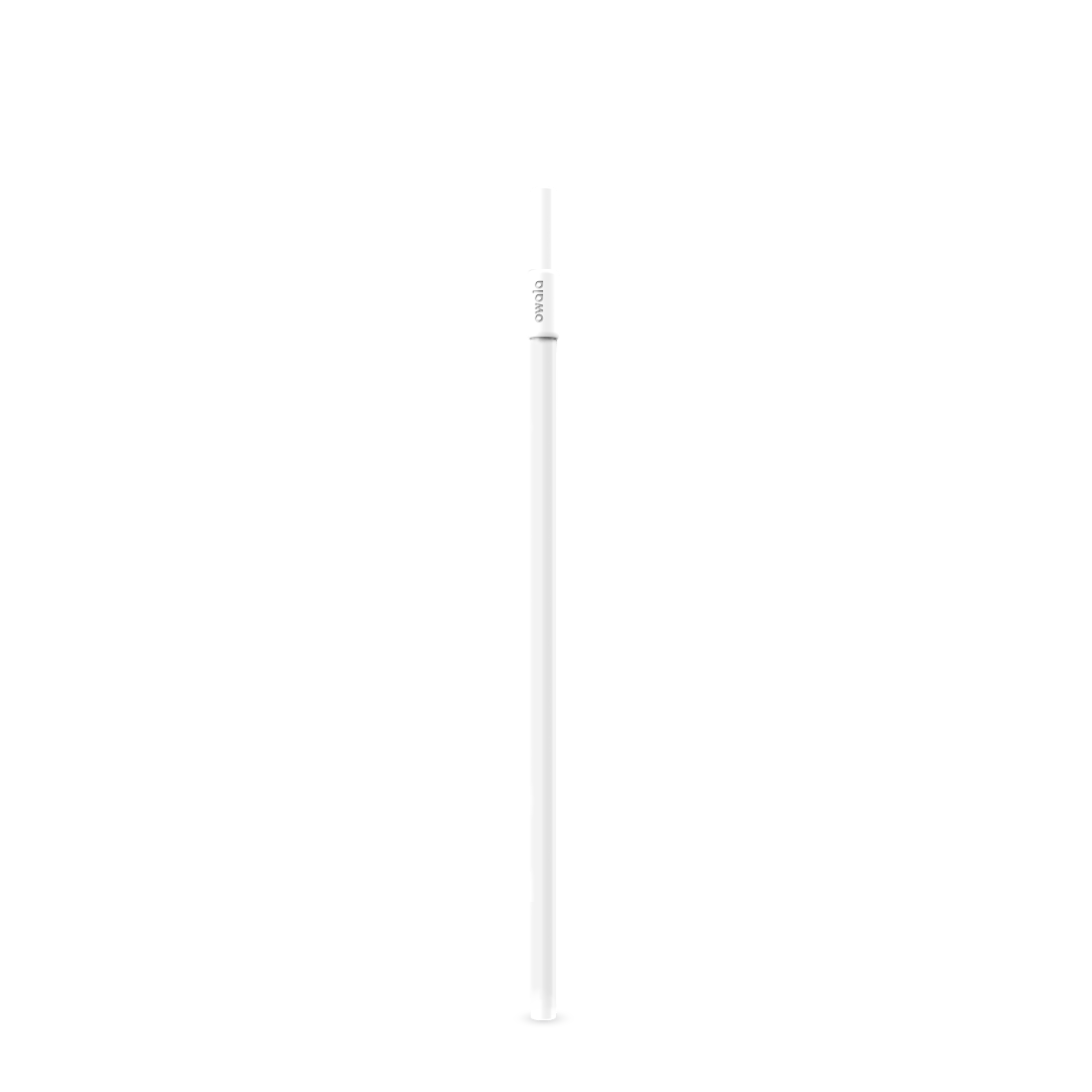 Replacement Straws ZJB9