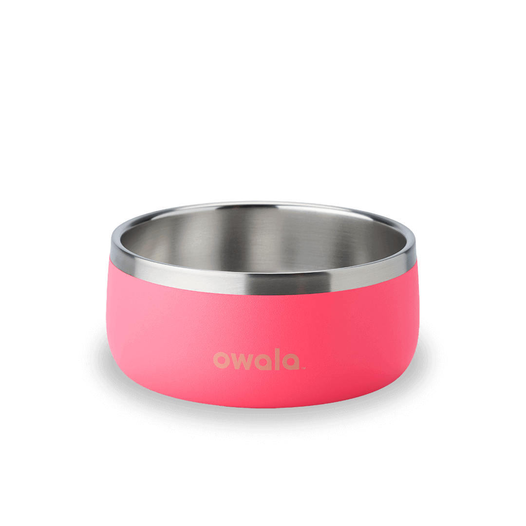 Pet Bowl 4NKZ