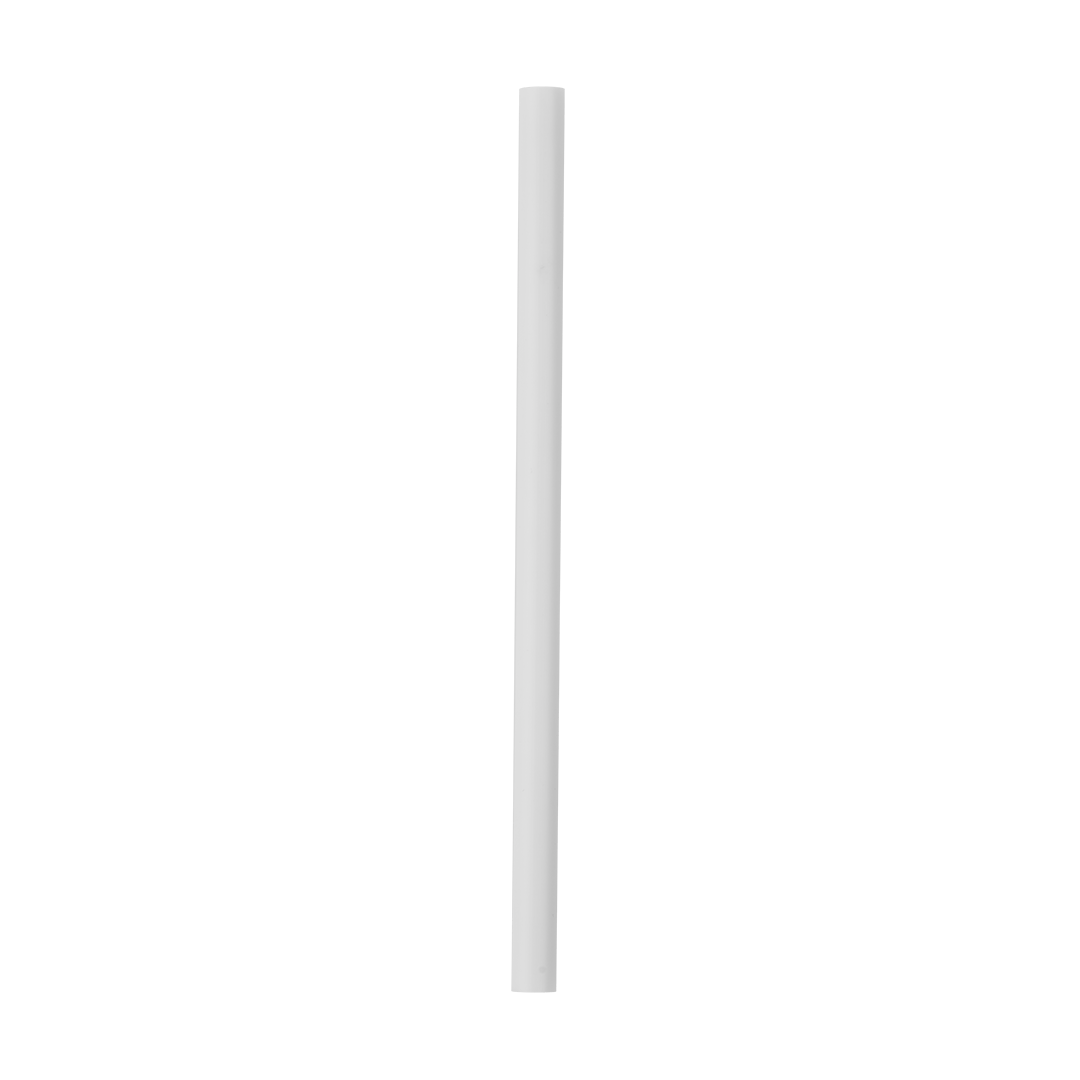 Replacement Straws ZJB9